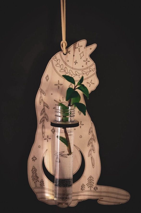 Cosmic Cat Hanging Propagation Station