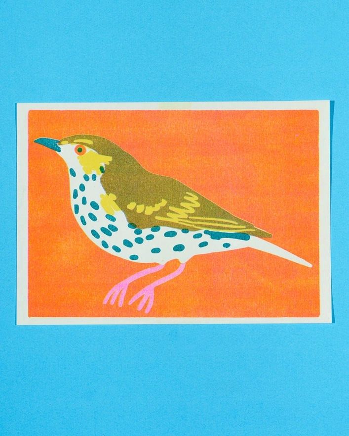 Mistle Thrush A5 Risograph Print