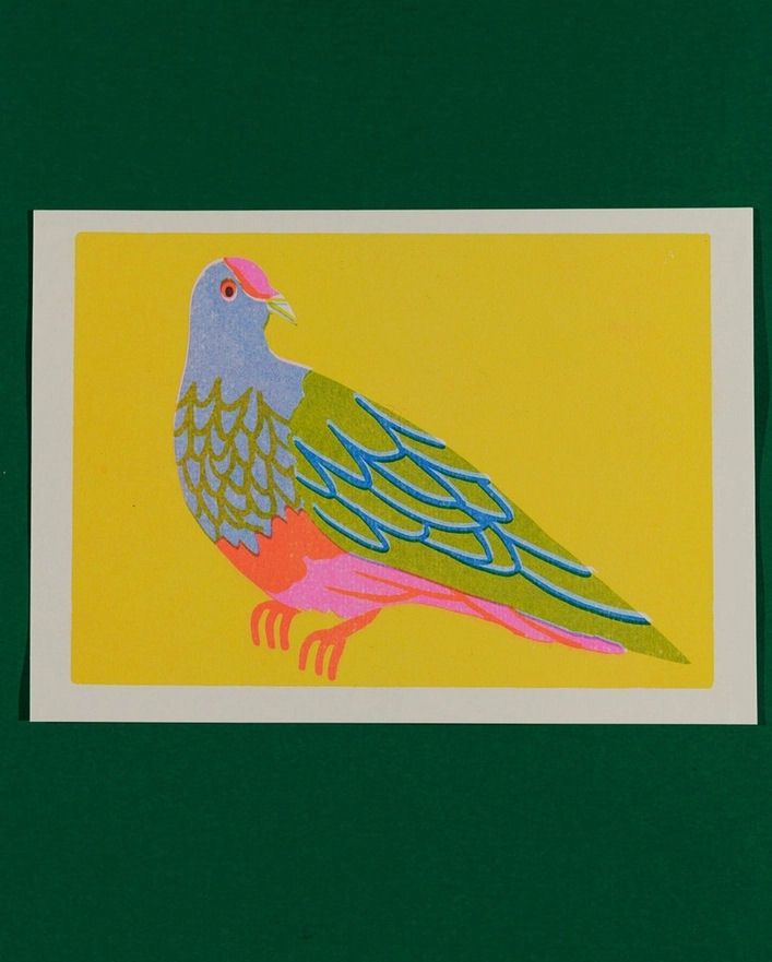 Fruit Dove A5 Risograph Print