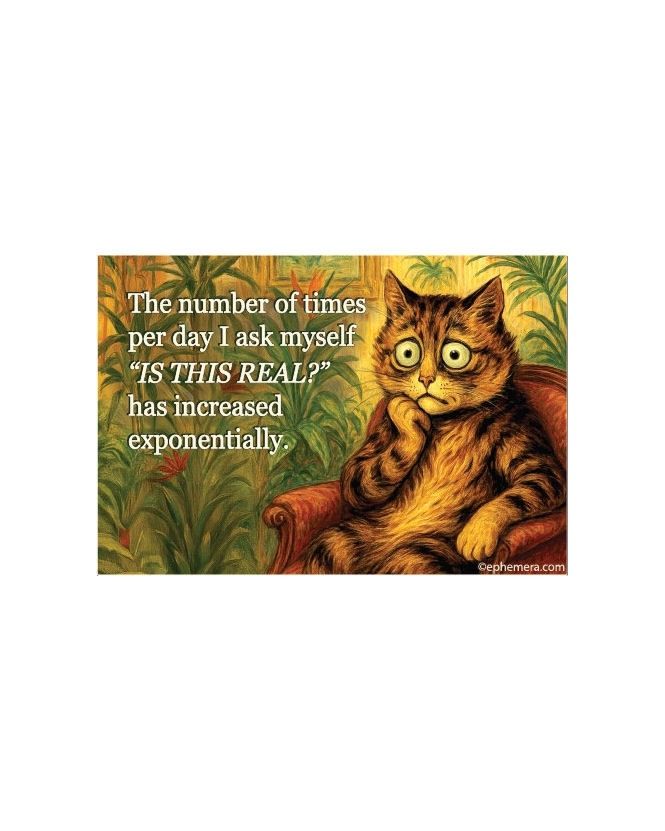 The Number Of Times Per Day I Ask Myself,  “IS THIS REAL?” Magnet