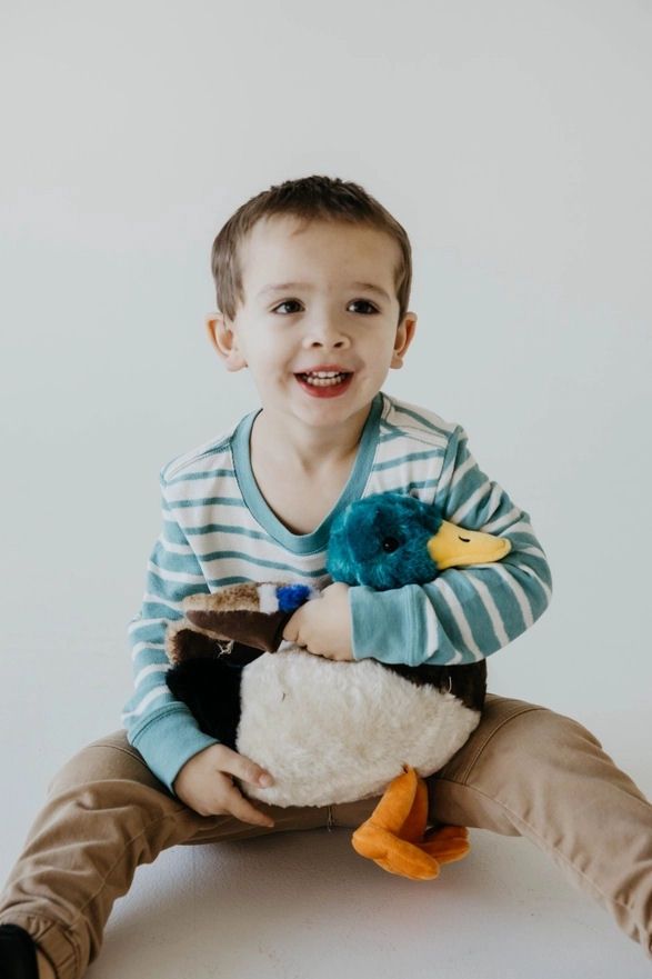 Wild Onez Mallard Duck 12in Stuffed Animal
