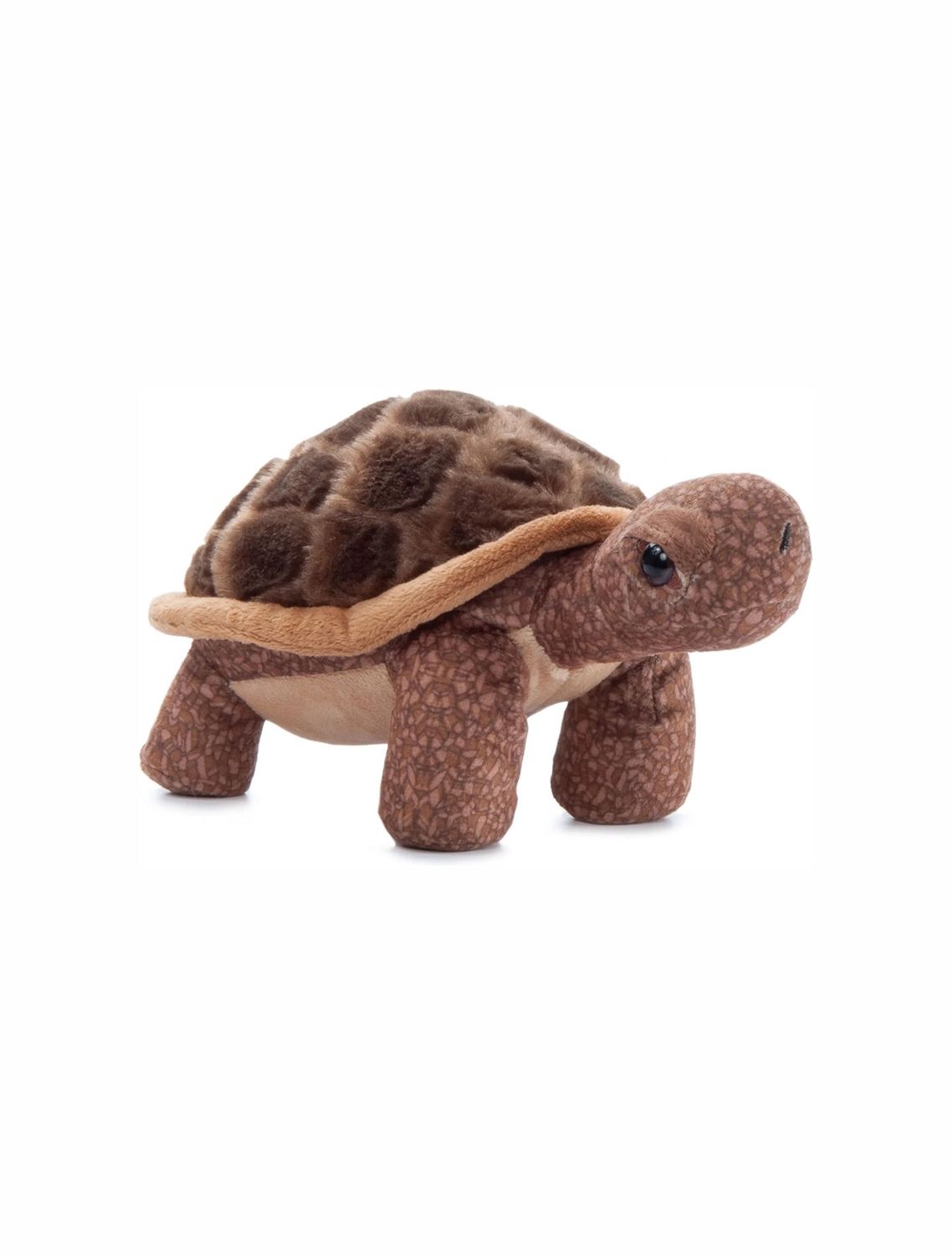 Wild Onez Tortoise 9in Stuffed Animal