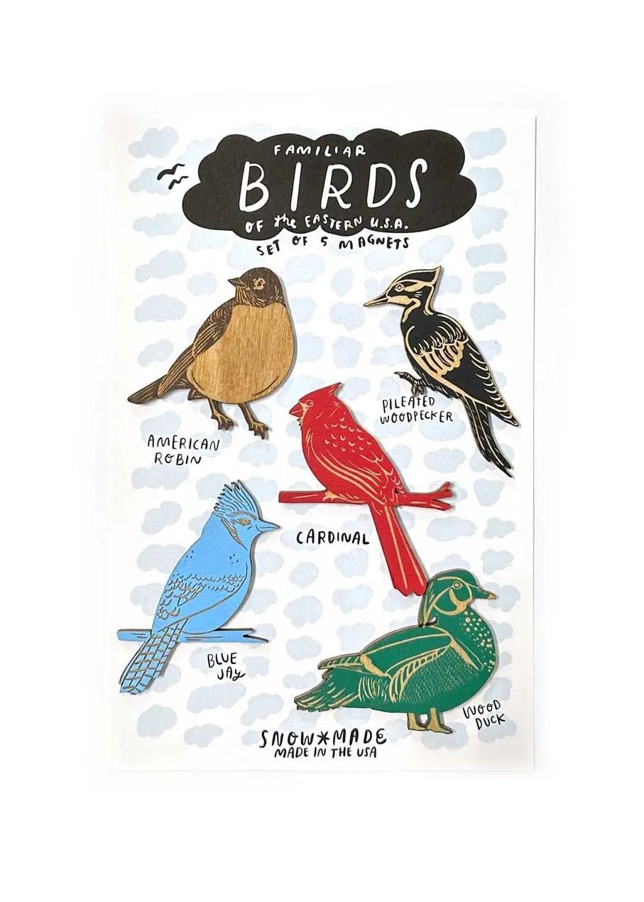 Familiar Birds Of The Eastern USA Wooden Magnet Set
