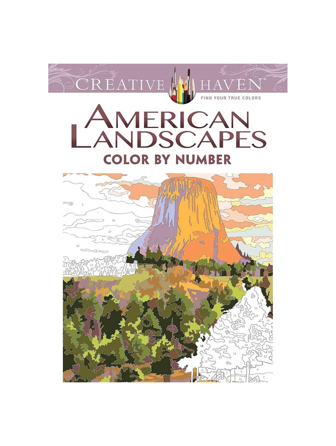 American Landscapes Color By Number Paperback Book
