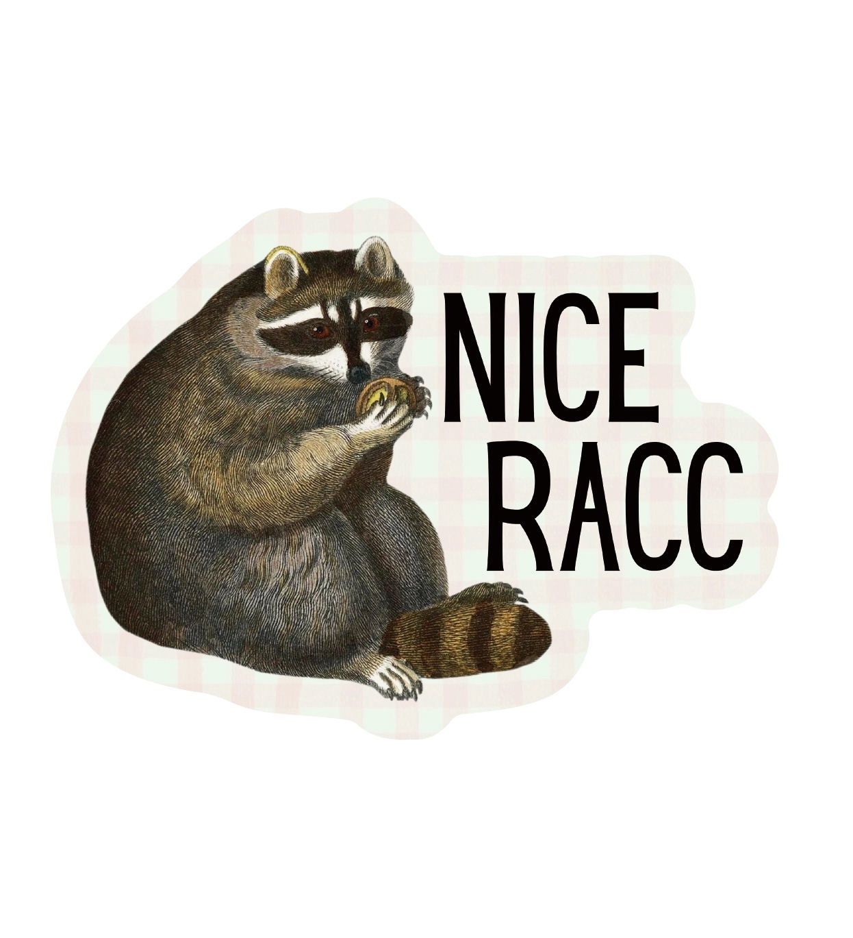 Nice Racc Raccoon Sticker