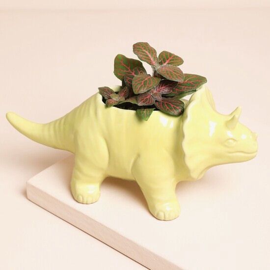 Yellow Triceratops Dinosaur Planter