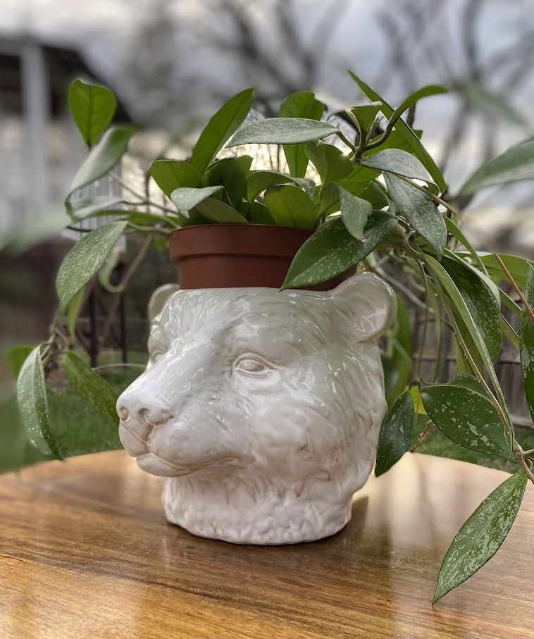 White Bear Planter