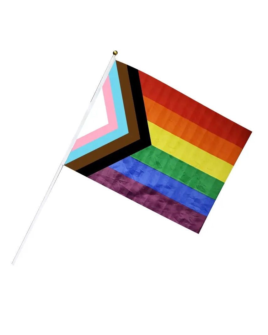 Rainbow Progress Flag
