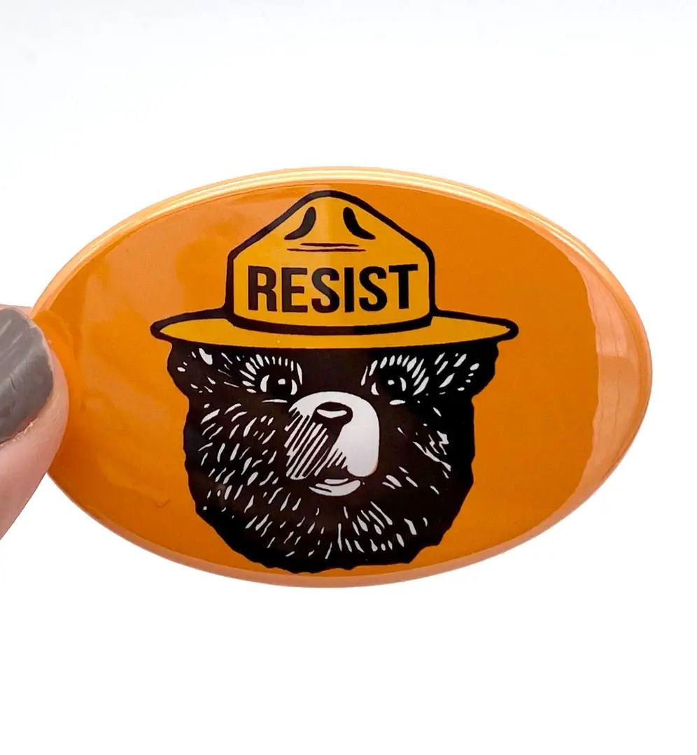 Resist Bear Orange Oval Magnet