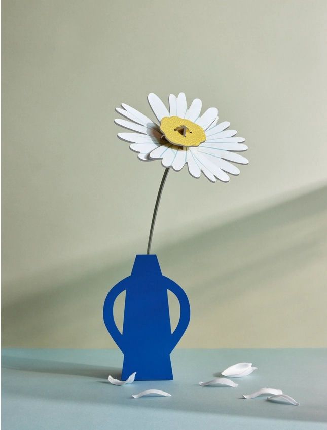 Daisy Flower Assembly Art