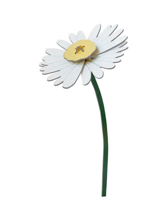 Daisy Flower Assembly Art