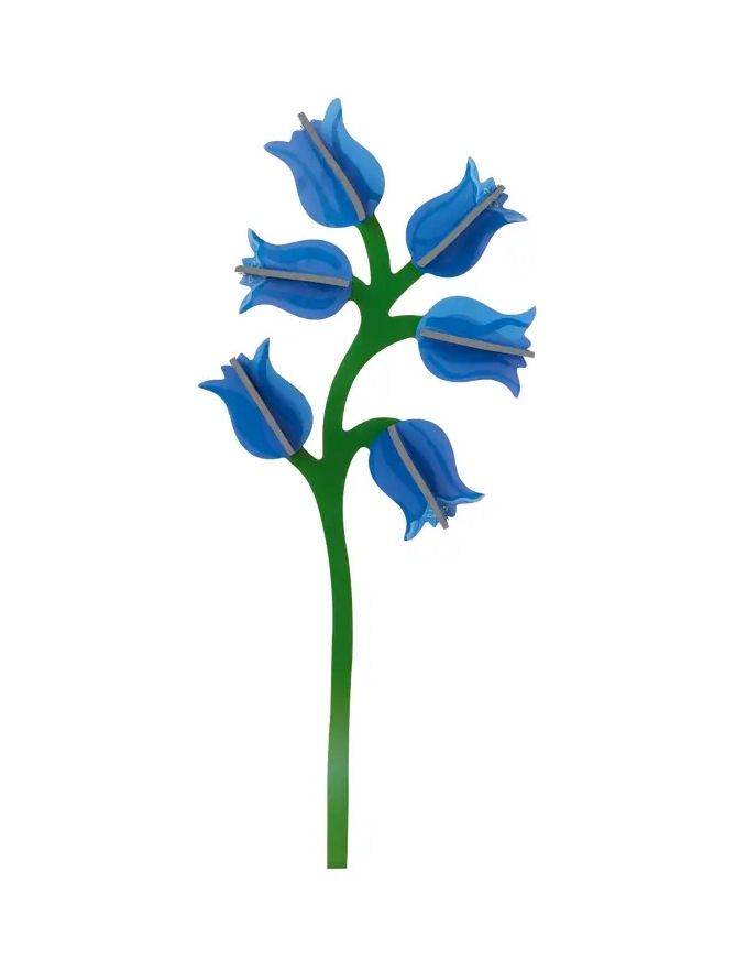 Campanula Everlasting Flower Assembly Art