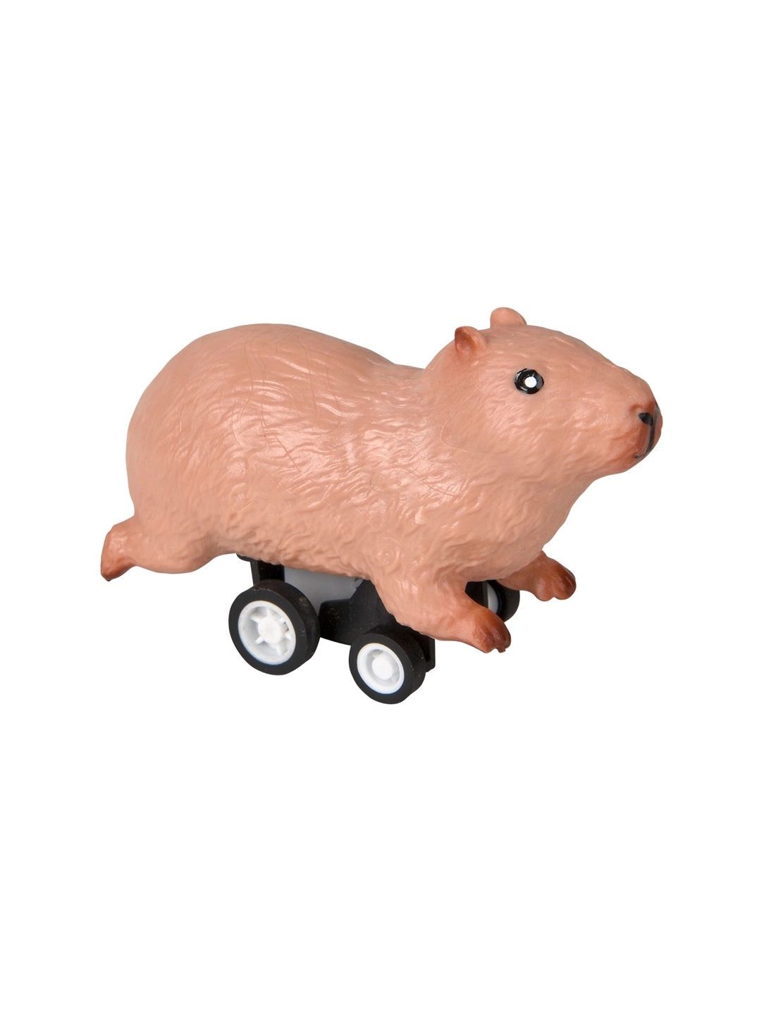 Pullback Capybara