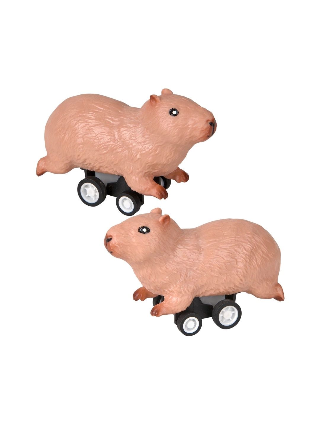 Pullback Capybara