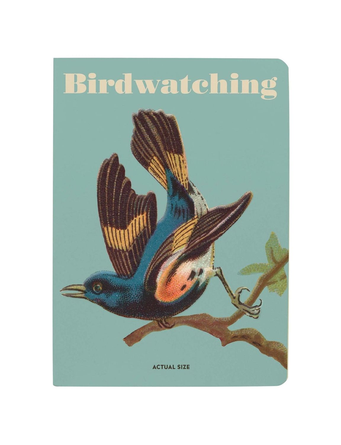 Birdwatching Notebook