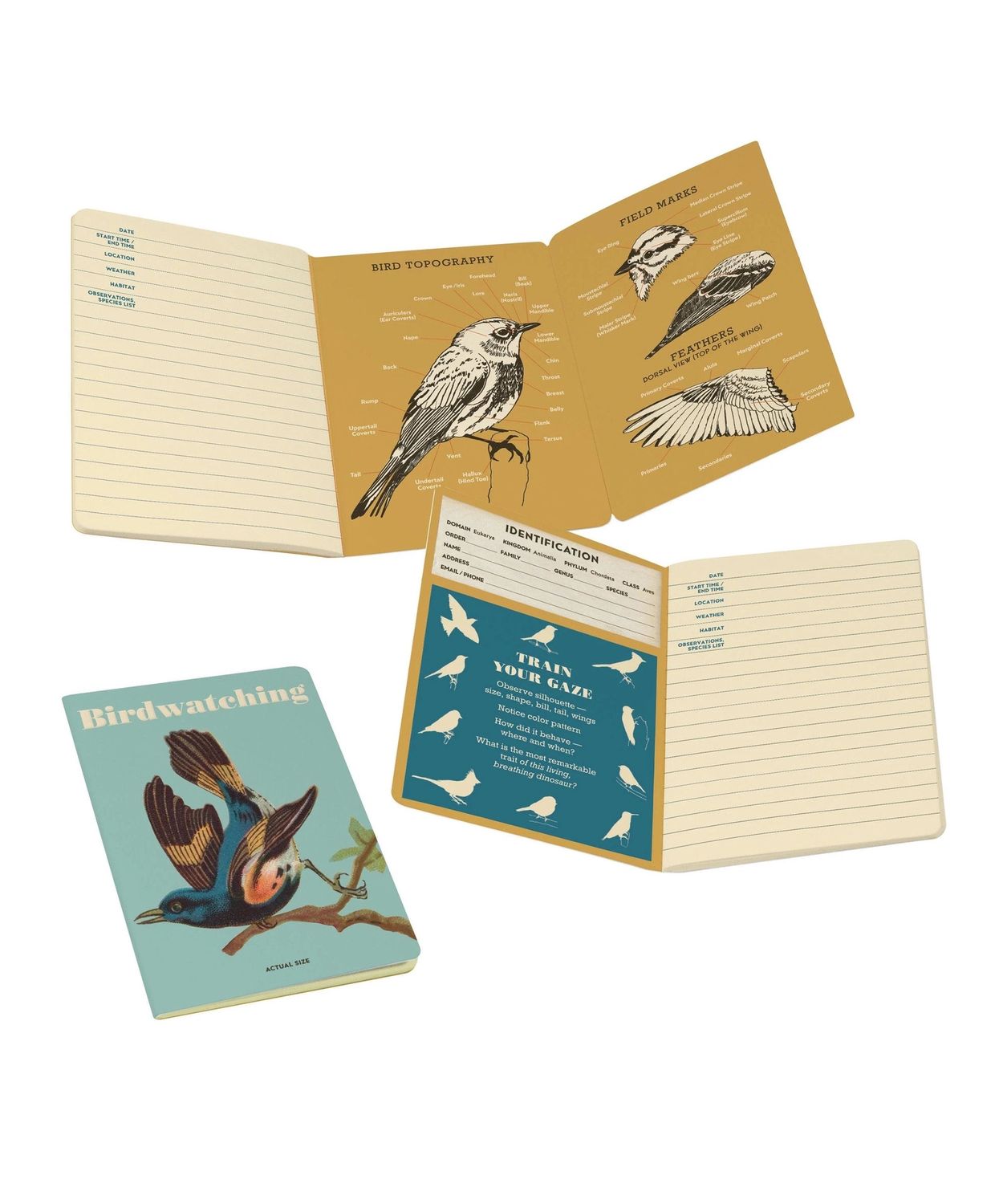 Birdwatching Notebook