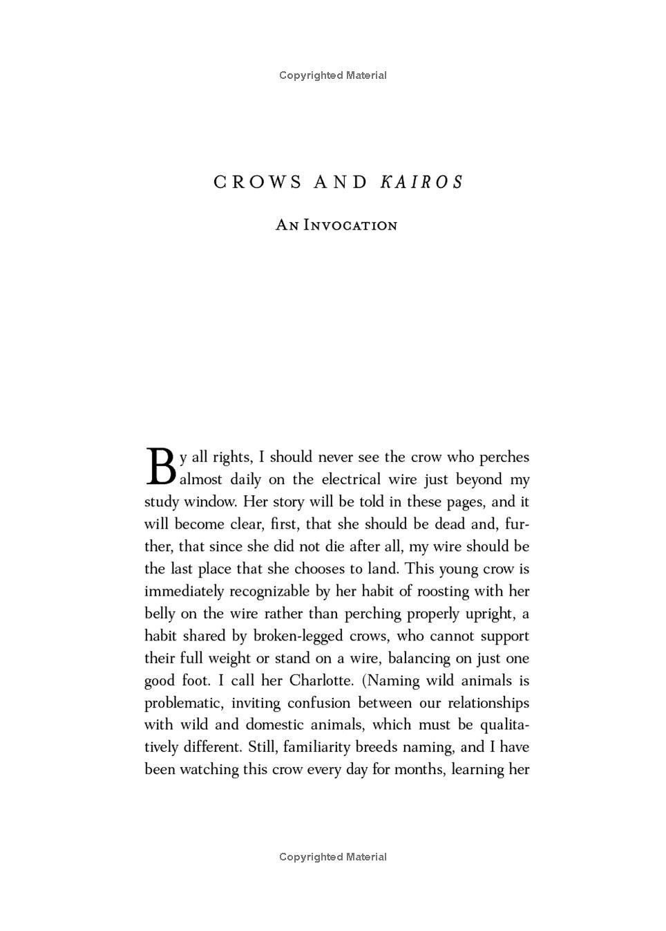 Crow Planet Paperback Book