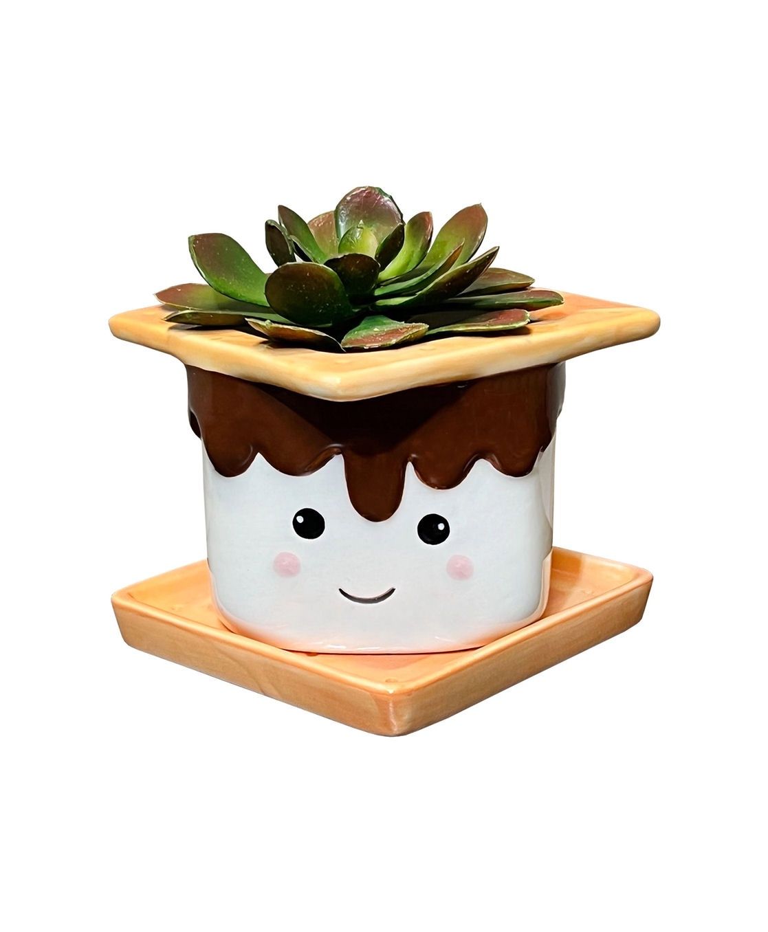 S’mores Planter