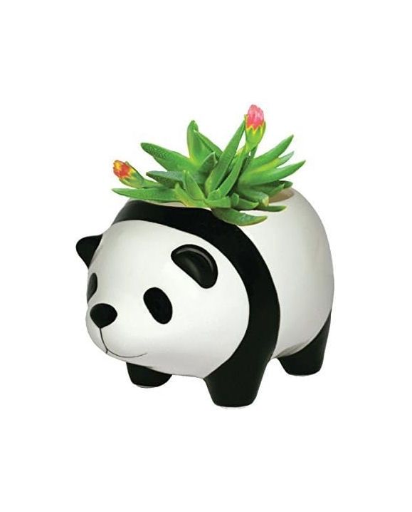 Panda Planter