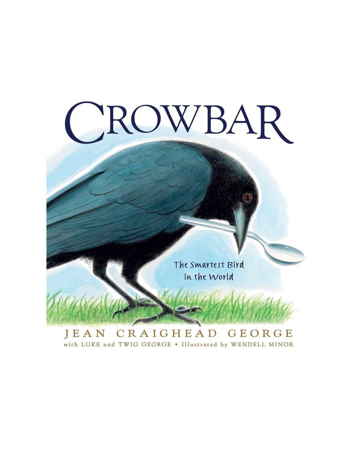 Crowbar The Smartest Bird In The World Hardcover Book