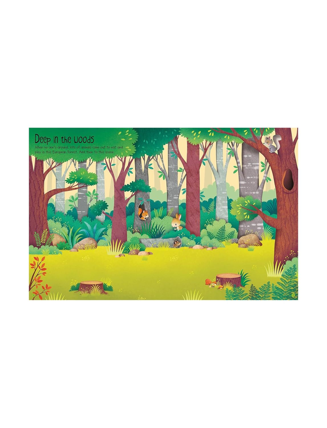 Nature First Sticker Paperback Book