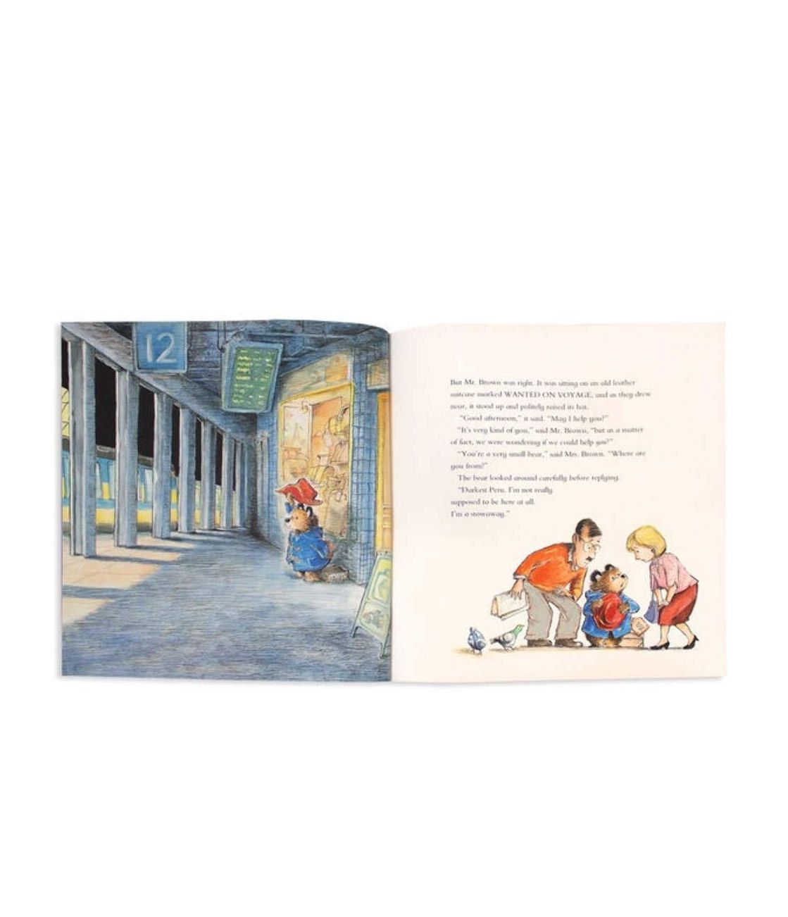 Paddington Hardcover Book