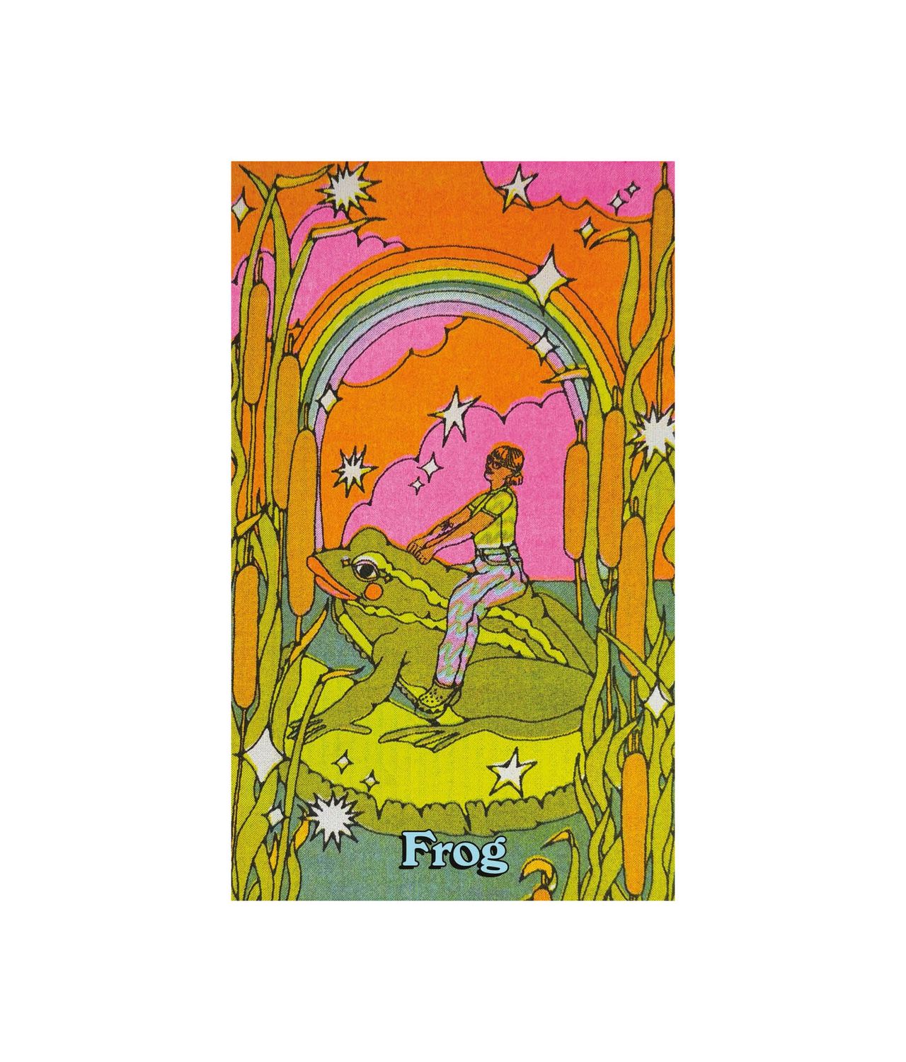 Queer Animal Oracle Card Deck