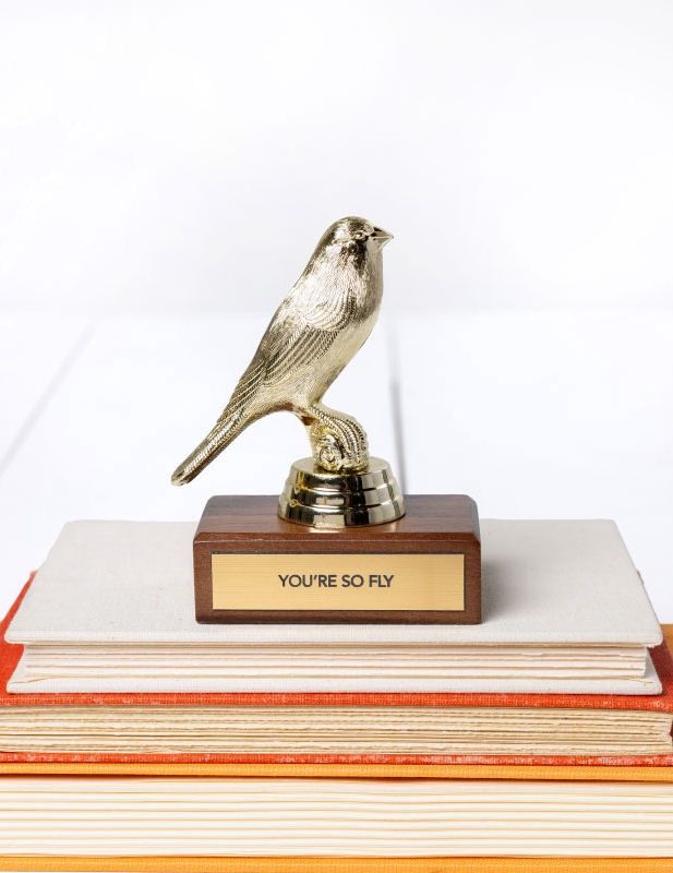 You're So Fly Encouragement Trophy