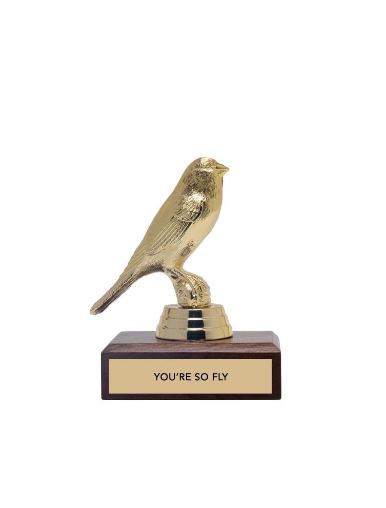 You're So Fly Encouragement Trophy