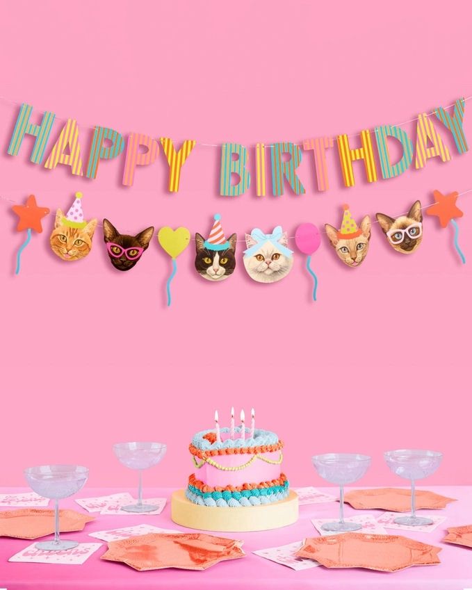 Happy Birthday And Cat Head Banner Set