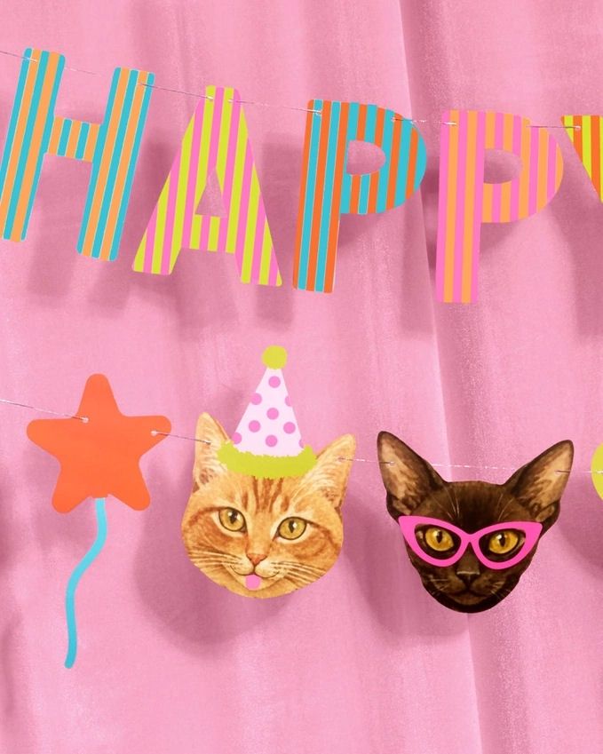 Happy Birthday And Cat Head Banner Set