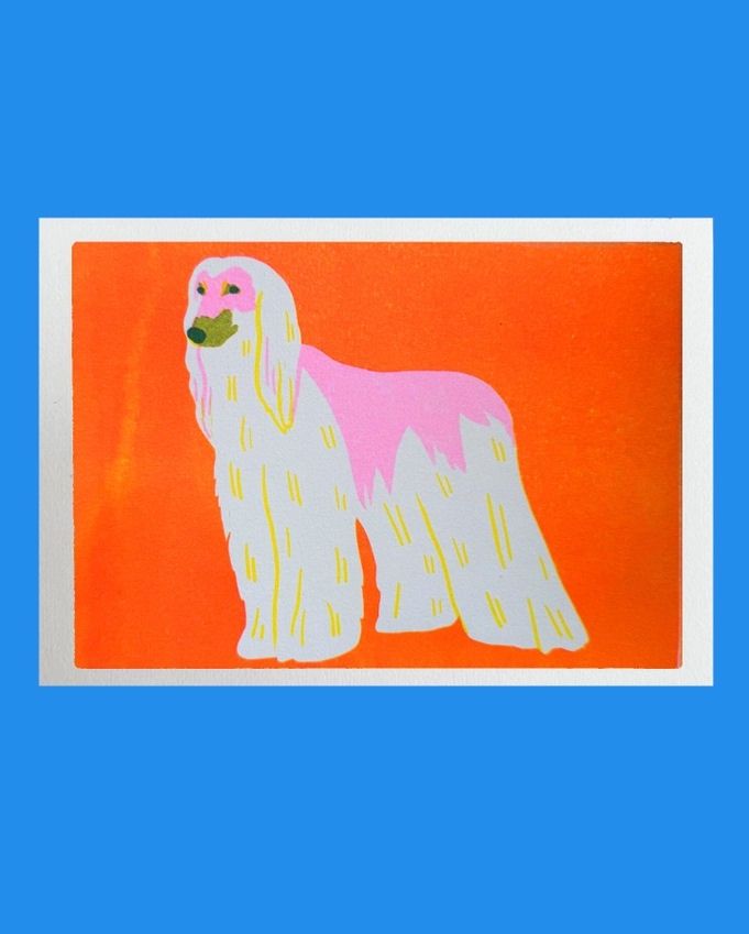 Afghan Hound A5 Risograph Print