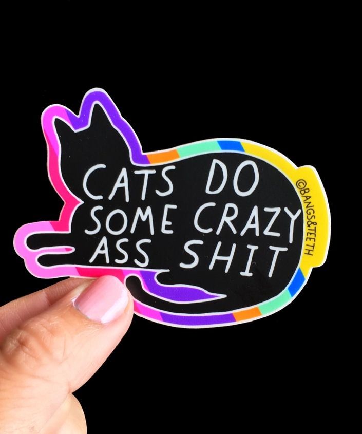 Cats Do Some Crazy Ass Shit Sticker