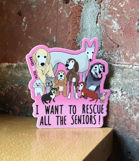 I Want To Rescue All the Seniors! Dog Sticker