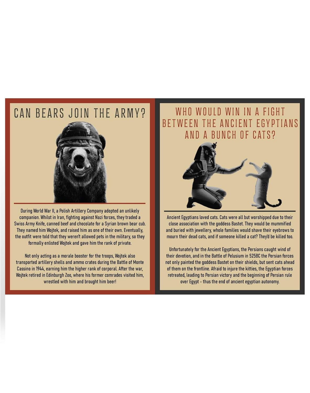Curious Man Thoughts Hardcover Book