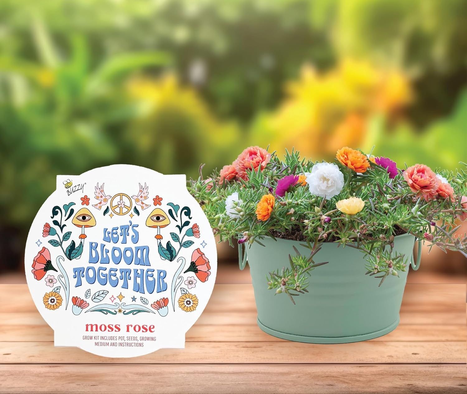 Let's Bloom Together Moss Rose Grow Kit