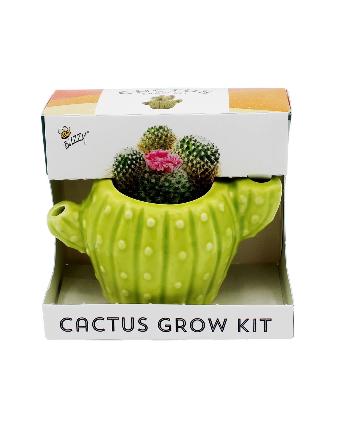 Cactus Grow Kit