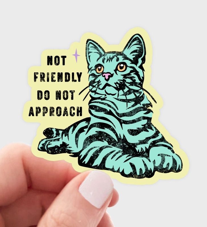 Not Friendly Do Not Approach Cat Sticker