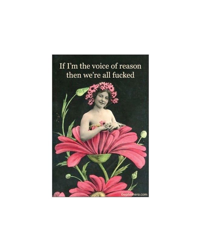 If I'm The Voice Of Reason Then We're All Fucked Magnet