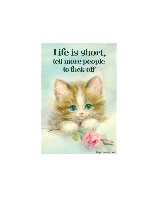Life Is Short, Tell More People To Fuck Off Magnet