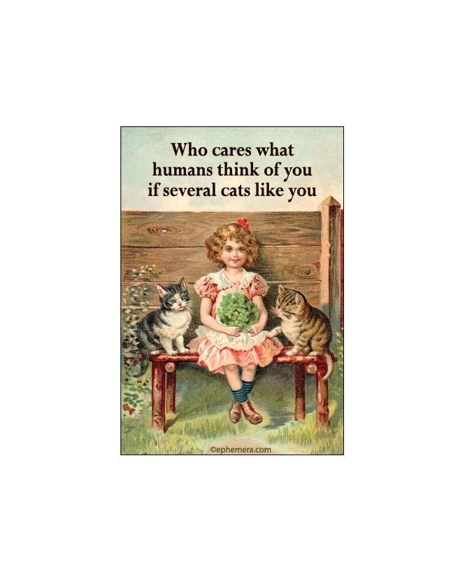 Who Cares What Humans Think Of You If Several Cats Like You Magnet