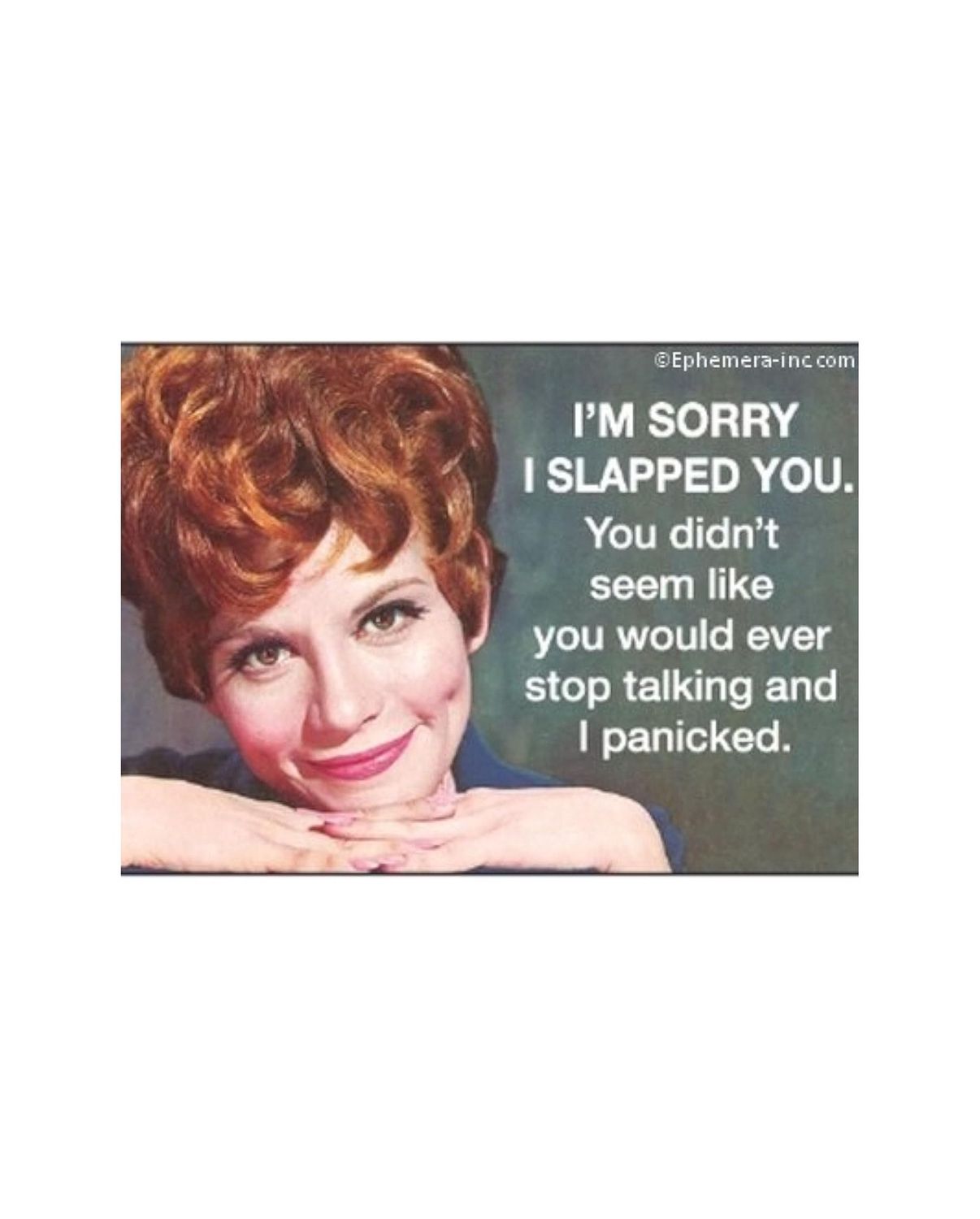 I'm Sorry I Slapped You Magnet