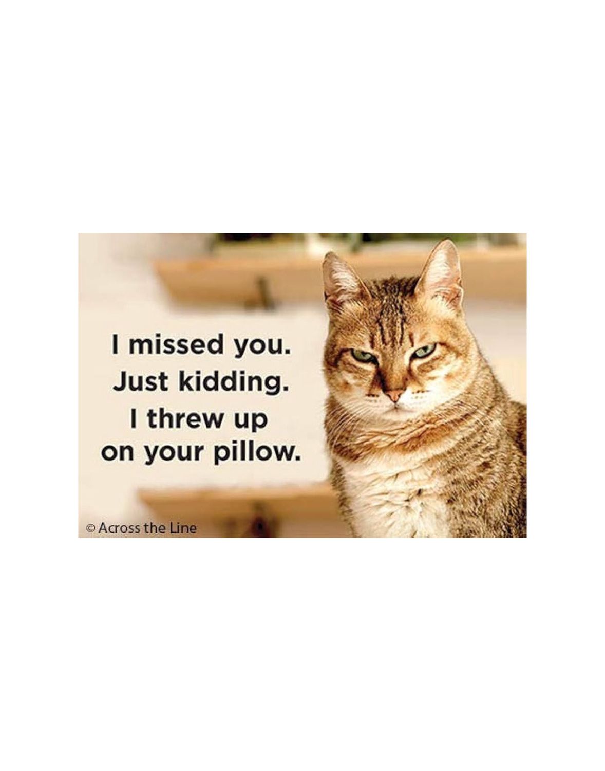 I Missed You. Just Kidding. I Threw Up On Your Pillow Magnet