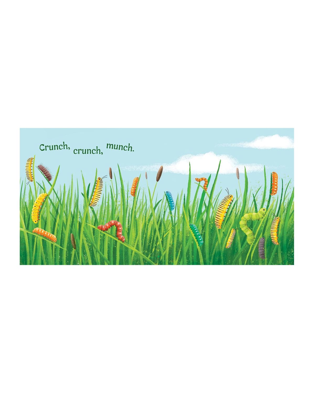 Butterflies Soar Board Book