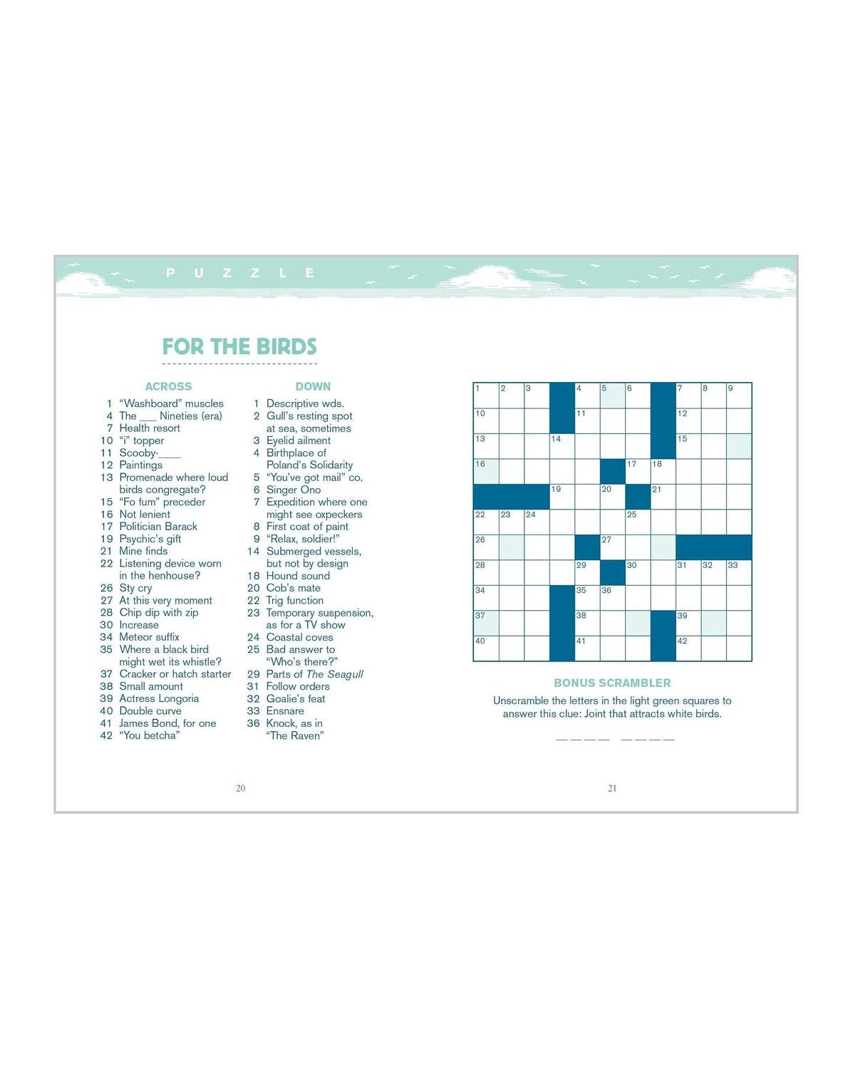 Bird Brainteasers: Puzzles, Games And Avian Trivia Paperback Book