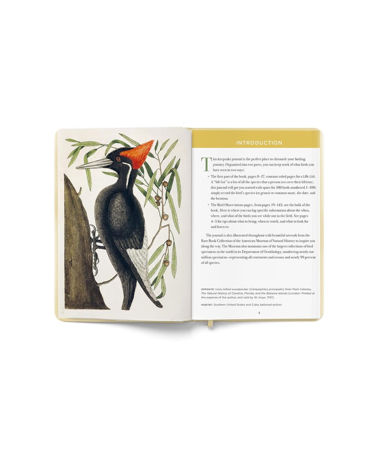The Birdwatcher’s Field Journal Hardcover