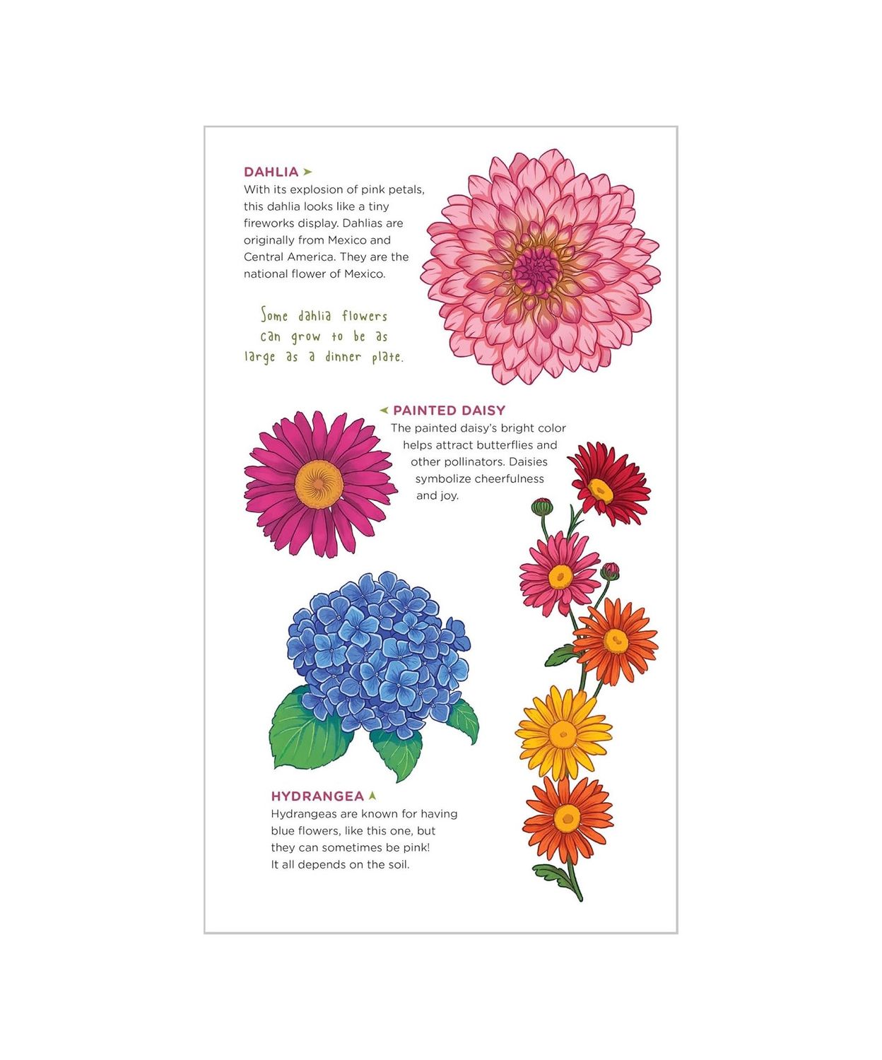 Gorgeous Garden Of Flowers Tattoo Paperback Book