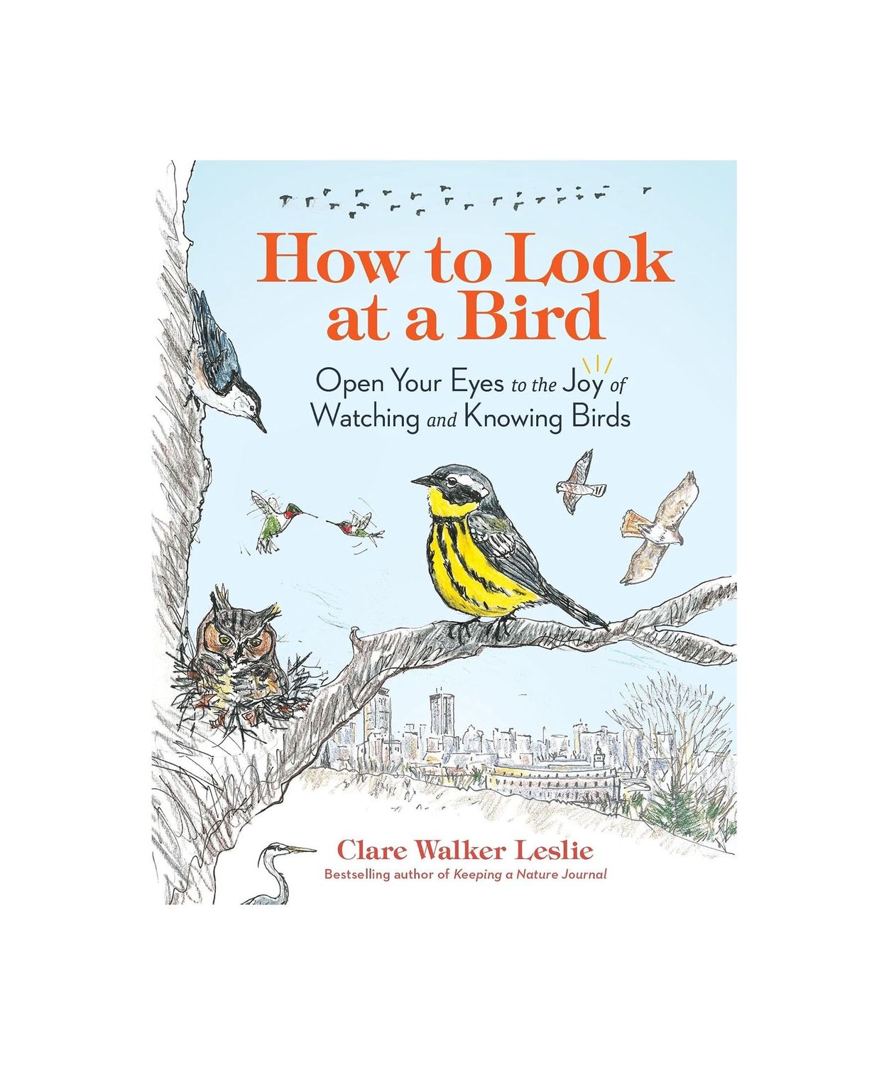 How To Look At A Bird Paperback Book