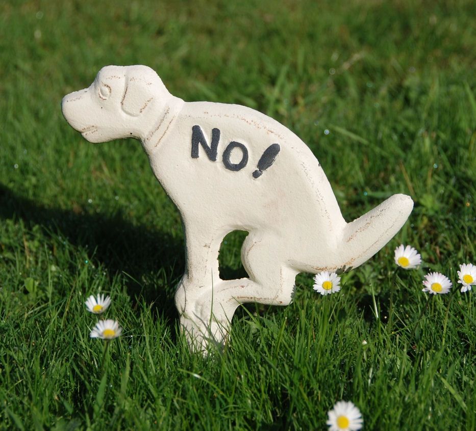 No! Pooping Dog White Cast Iron Yard Stake Sign