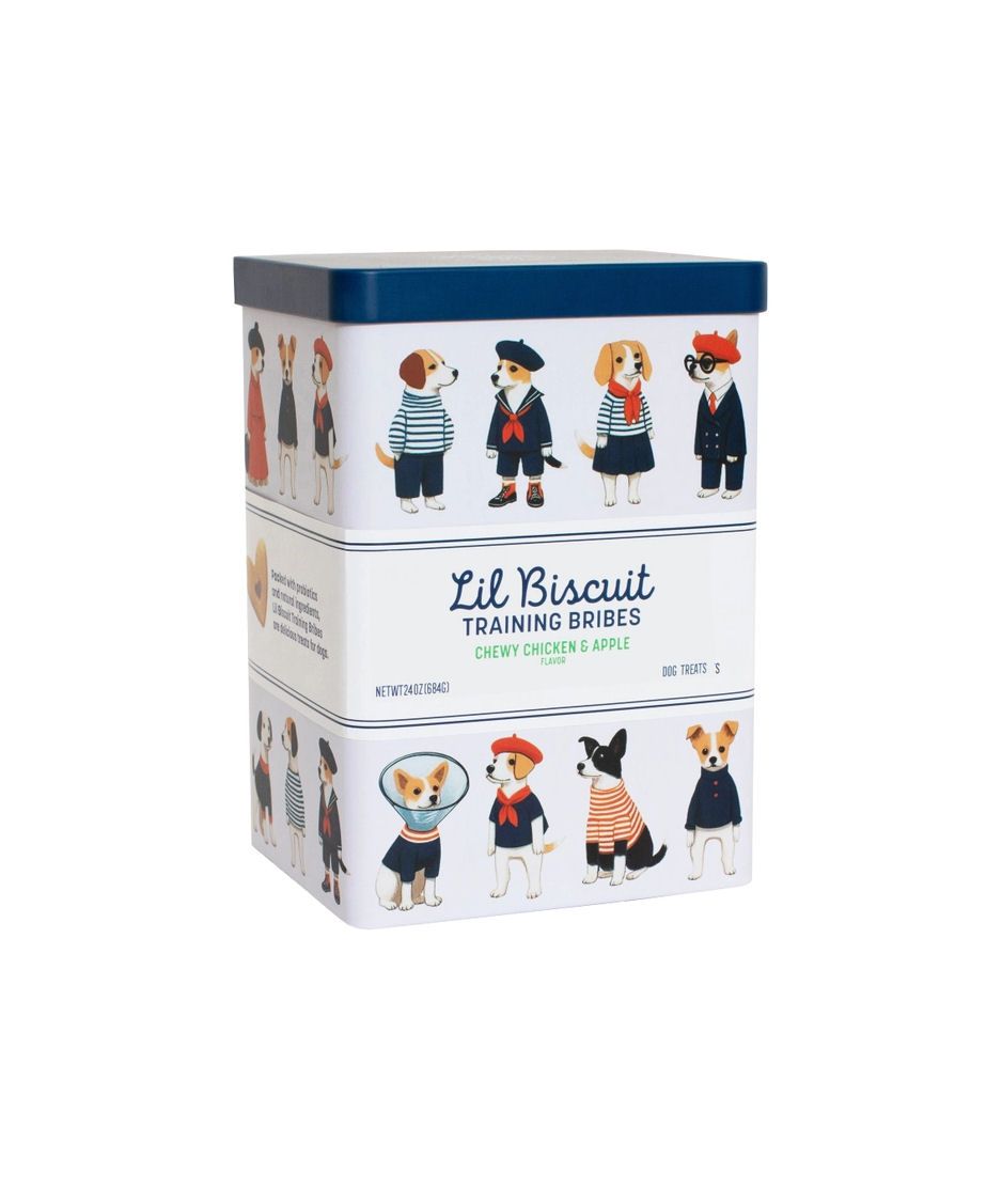Lil Biscuit Training Bribes Chicken And Apple Large Chewy Dog Treats